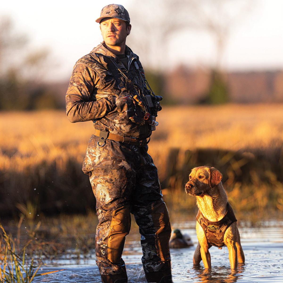 Josh Miller Lead.jpg